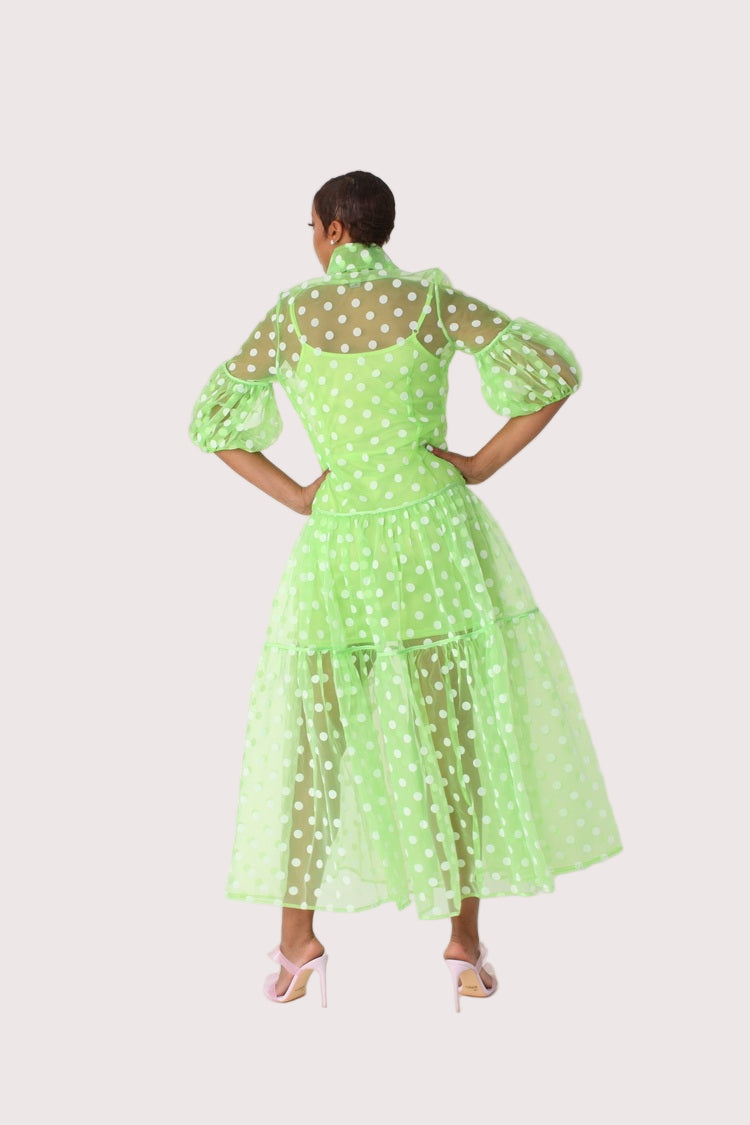Polka dot organza maxi dress style 82234 in lime and white shown from the back in a standing pose highlighting the full-length silhouette by For Her NYC