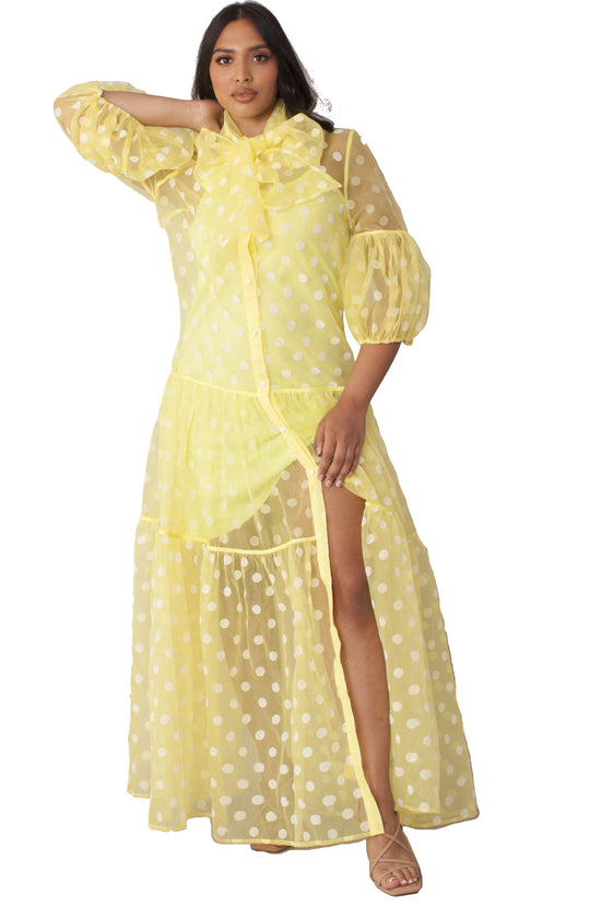 Lime Polka Dot Organza Maxi Dress - 82234